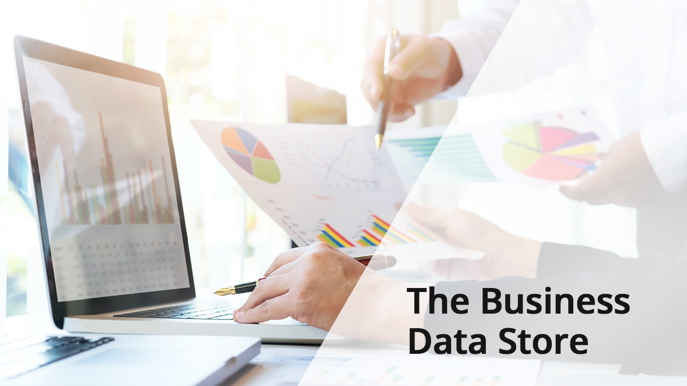 The Business Data Store