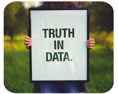 Truth in Data webbula